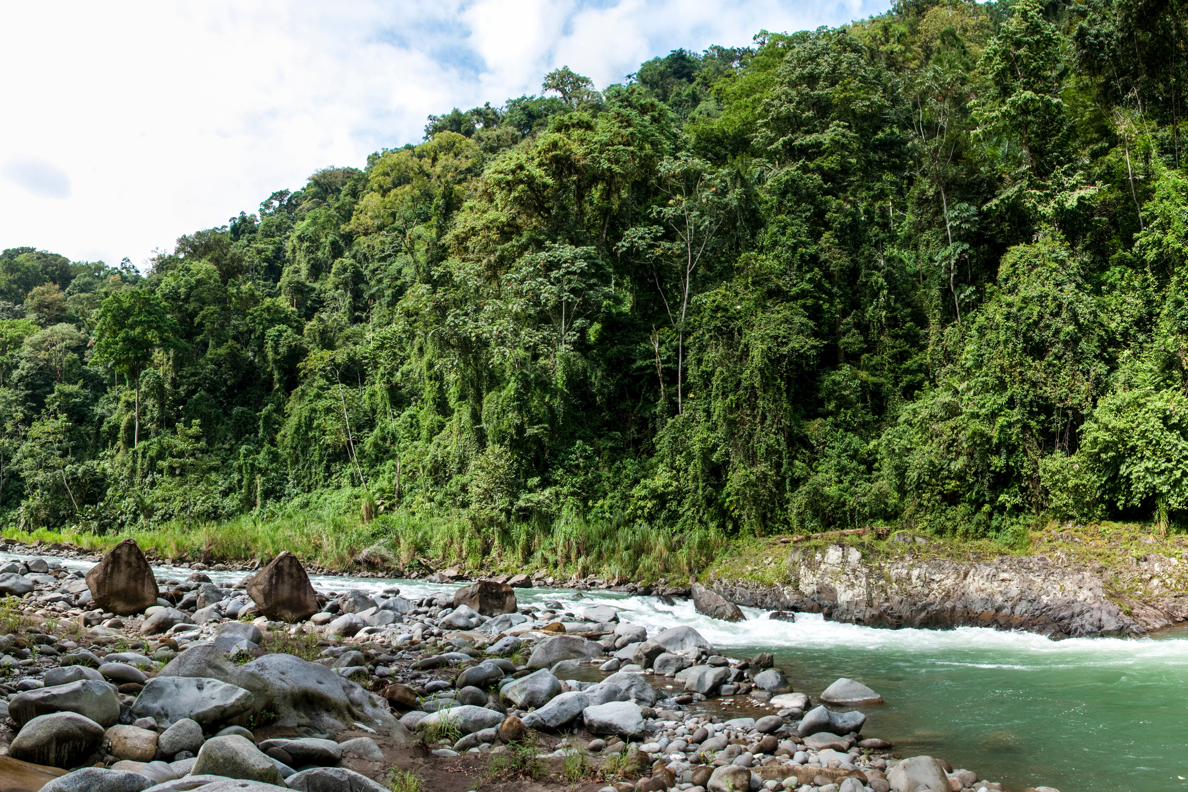pacuare river, limon 03.webp